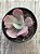 Echeveria dreams and phantasms - Imagem 4