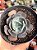Echeveria elektra - Imagem 1