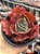 Echeveria ruby lady - Imagem 1