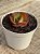 Echeveria liz (carúnculas) - Imagem 3