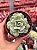 Echeveria momoca variegata - Imagem 1