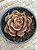 Echeveria zesta - Imagem 2