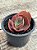 Echeveria mauna tailandesa (sem raiz) - Imagem 3
