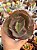 Echeveria bronze boy (SEM RAIZ) - Imagem 1