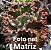 Echeveria bronze boy (SEM RAIZ) - Imagem 2