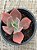 Echeveria la femme (by Dick Wright) - Imagem 4
