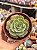 Echeveria love’s light (folhas forma de coração) (sem raiz) - Imagem 1