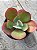 Echeveria angel  wings reversa - Imagem 3