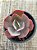 Echeveria angel wings reversa - Imagem 4