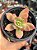 Echeveria golden glow - Imagem 1