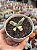 Cotyledon orbiculata var. flanaganii variegata - Imagem 1