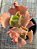 Kalanchoe krinkle red - Imagem 3