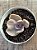 Echeveria decora variegata - Imagem 3