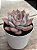 Echeveria orion - Imagem 2