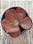 Echeveria David harris - Imagem 3