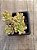 Sedum joyce tulloch variegata - Imagem 3