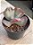 Echeveria bumps - Imagem 2