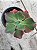 Echeveria Virginia lee - Imagem 3