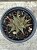 Haworthia limifolia 03 - Imagem 1