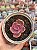 Echeveria golden state variegata - Imagem 1