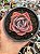 Echeveria dusty rose - Imagem 2