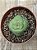 Crassula hemisphaerica - Imagem 3