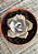Graptoveria purple delight - Imagem 2
