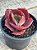 Echeveria red trump (rt) (sem raiz) - Imagem 4