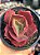 Echeveria red trump (rt) (sem raiz) - Imagem 1