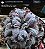 Echeveria thanos - Imagem 2