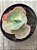 Echeveria pearl - Imagem 4