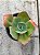 Echeveria anjo caido - Imagem 1