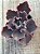 Echeveria black opal - Imagem 3