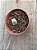 Crassula plegmatoides - Imagem 4