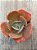 Echeveria remake - Imagem 3