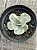 Echeveria ice age variegata M - Imagem 3