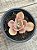 Echeveria ice age variegata - Imagem 1