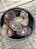 Echeveria buckley (sem raiz) - Imagem 1