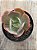Echeveria paul bunyan - Imagem 4