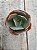 Echeveria paul bunyan (matriz variegata) - Imagem 1
