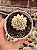 Echeveria mebina variegata - Imagem 1