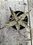 Aloe “pink blush” - Imagem 1