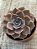 Echeveria linda jean - Imagem 3