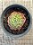 Echeveria swirl (sem raiz) - Imagem 3