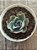 Echeveria lady aquarius - Imagem 4