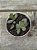Adromischus maculatus strawberry cake - Imagem 1