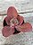 Echeveria HB M31 (sem raiz) - Imagem 2