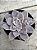 Graptopetalum superbum - Imagem 1