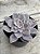 Graptopetalum superbum - Imagem 2