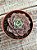 Echeveria raindrops x parva (sem raiz) - Imagem 2